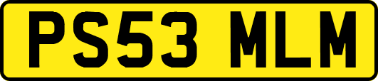 PS53MLM