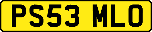 PS53MLO