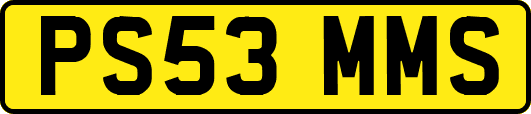 PS53MMS