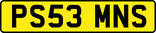 PS53MNS