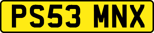 PS53MNX