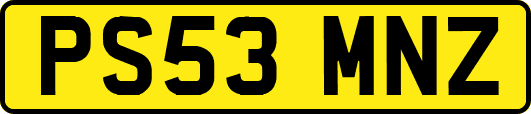 PS53MNZ