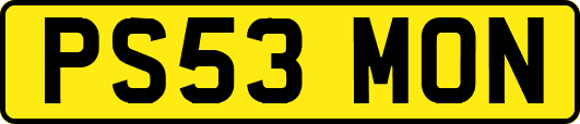PS53MON