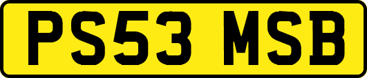 PS53MSB