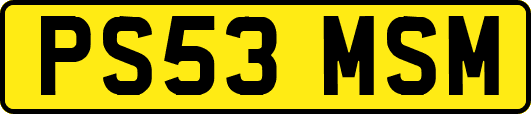 PS53MSM