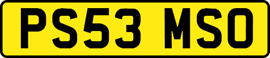 PS53MSO