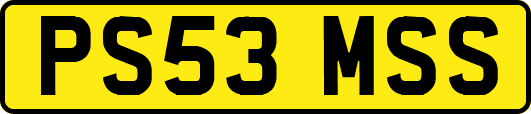 PS53MSS