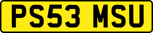 PS53MSU