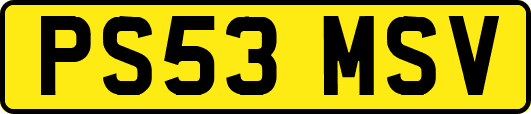 PS53MSV