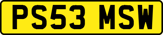 PS53MSW