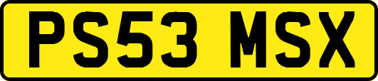 PS53MSX