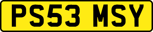 PS53MSY