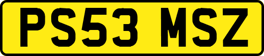 PS53MSZ