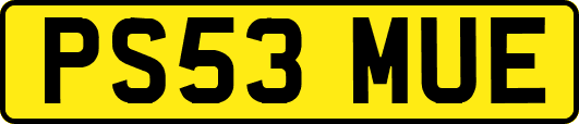 PS53MUE