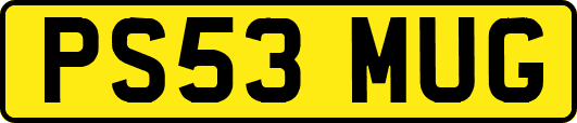 PS53MUG