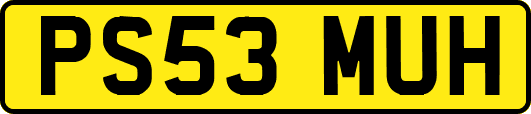 PS53MUH