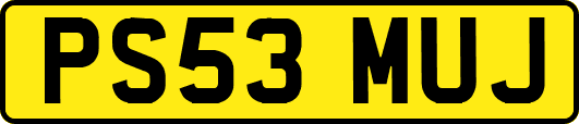 PS53MUJ