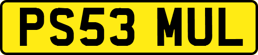 PS53MUL