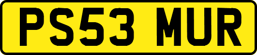 PS53MUR