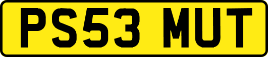 PS53MUT