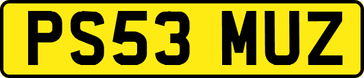 PS53MUZ