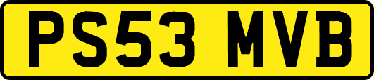 PS53MVB