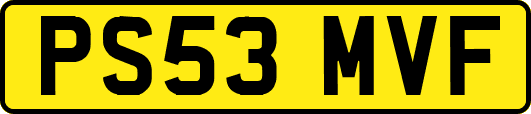 PS53MVF
