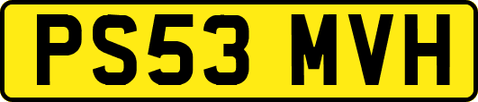 PS53MVH