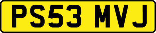 PS53MVJ