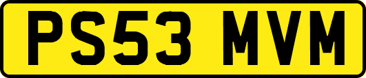 PS53MVM