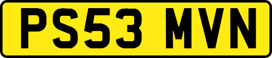 PS53MVN