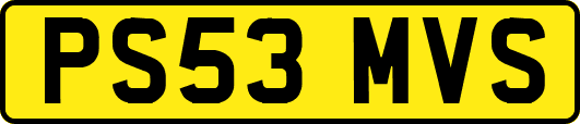 PS53MVS