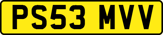 PS53MVV