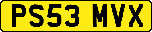PS53MVX