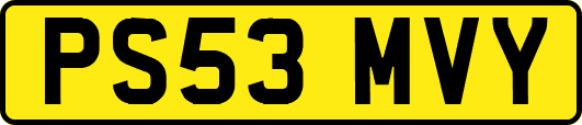 PS53MVY