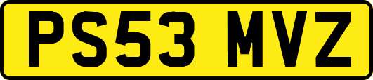 PS53MVZ