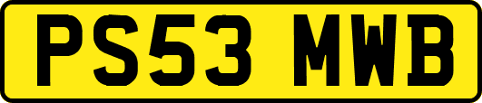 PS53MWB