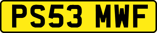 PS53MWF