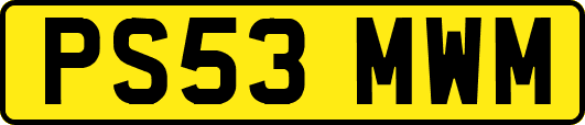 PS53MWM