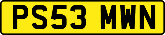 PS53MWN