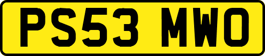 PS53MWO