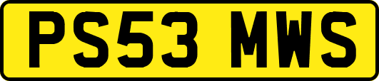 PS53MWS