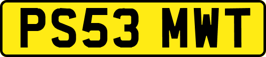 PS53MWT