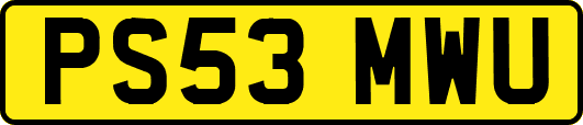 PS53MWU