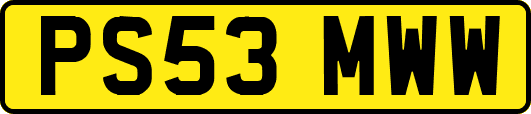 PS53MWW