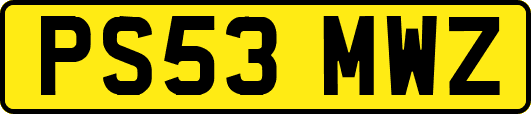 PS53MWZ