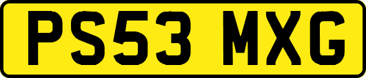 PS53MXG