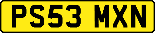PS53MXN