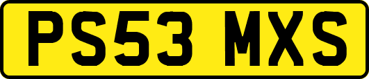 PS53MXS