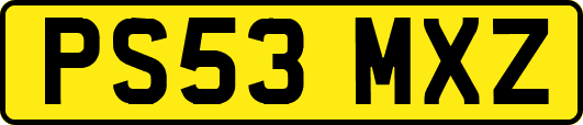 PS53MXZ
